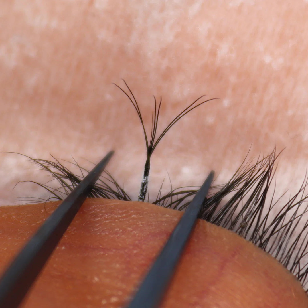 Pinkfishes W Lash - C MIX 0.7