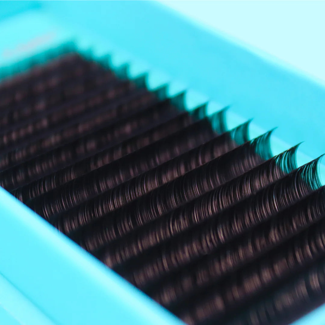 Pinkfishes Cashmere Russian Lash Tray