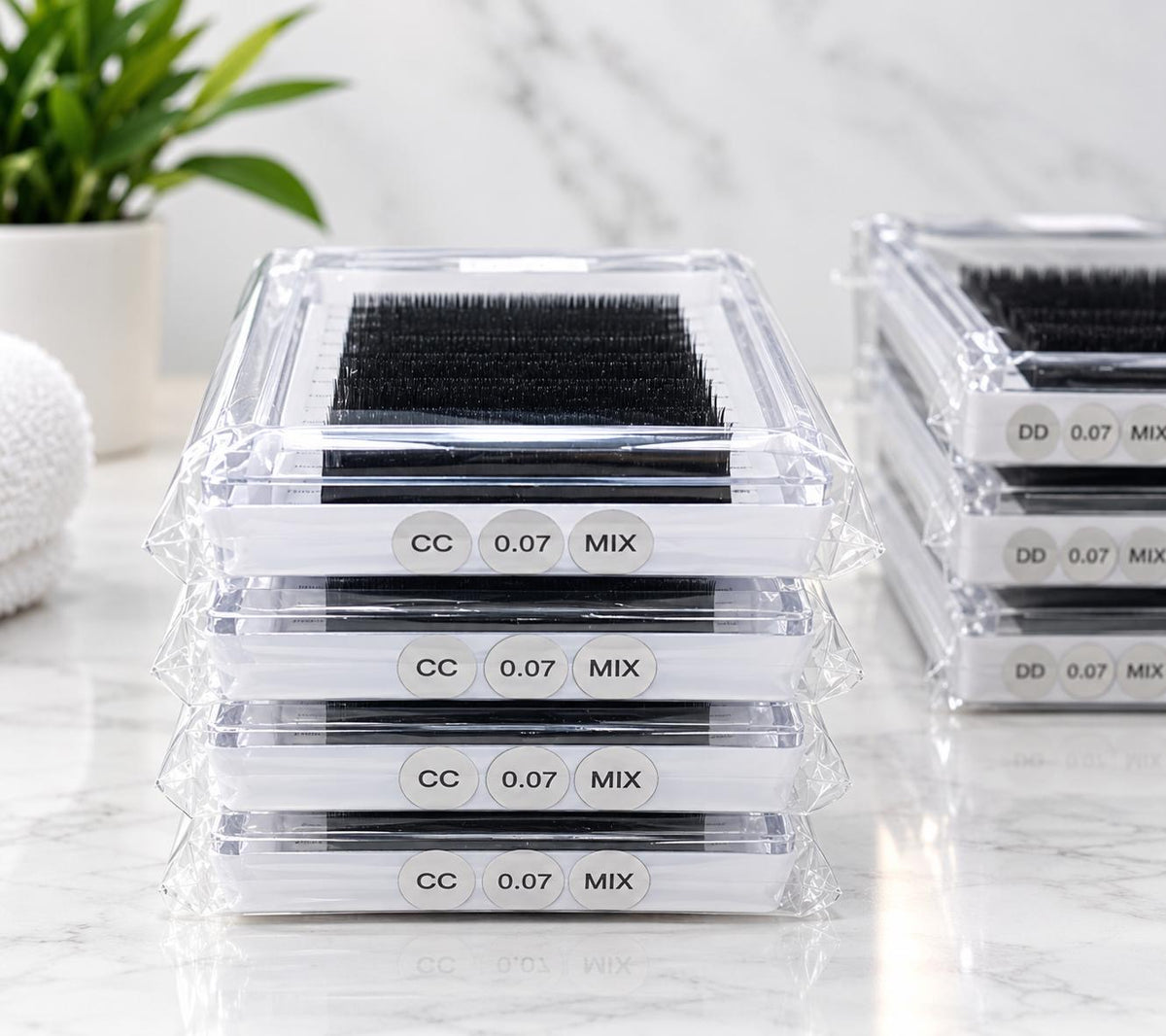 LINZILU LASH TRAYS BLACK