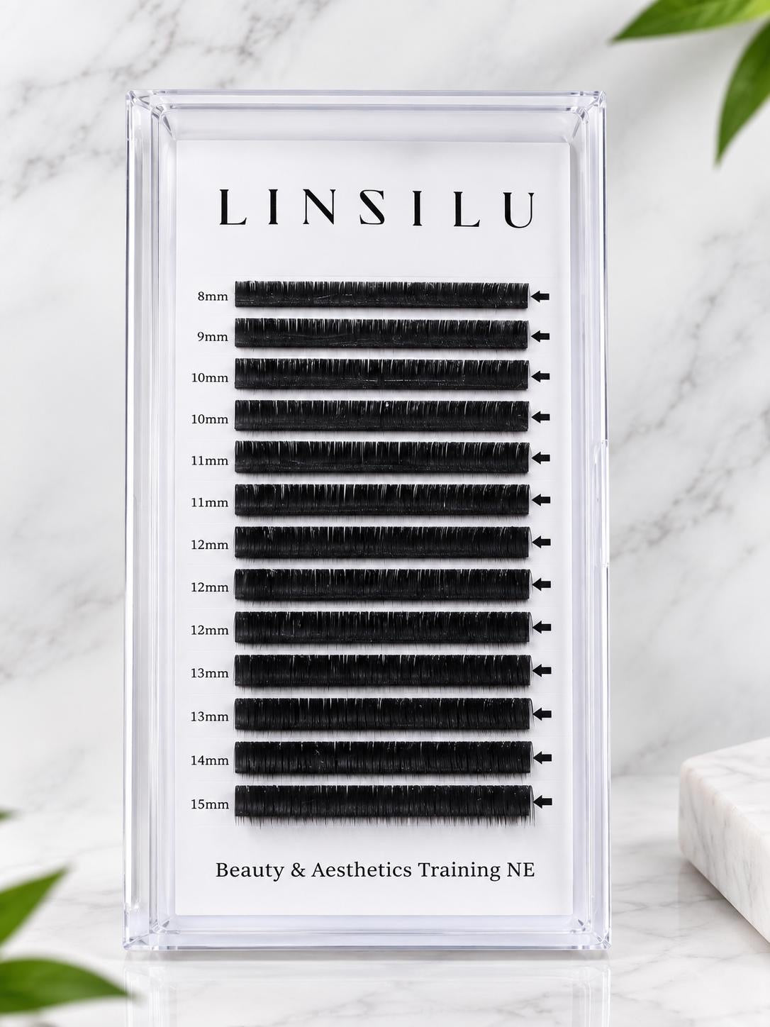 LINZILU LASH TRAYS BLACK